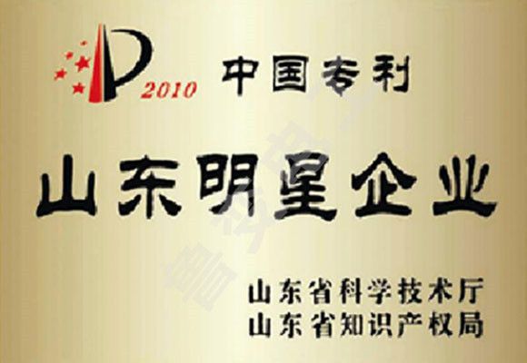 中國專利山東明星企業